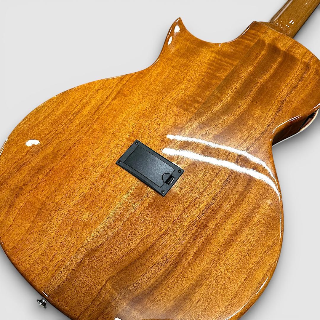 GrassRoots G-AC-50S エレアコ
