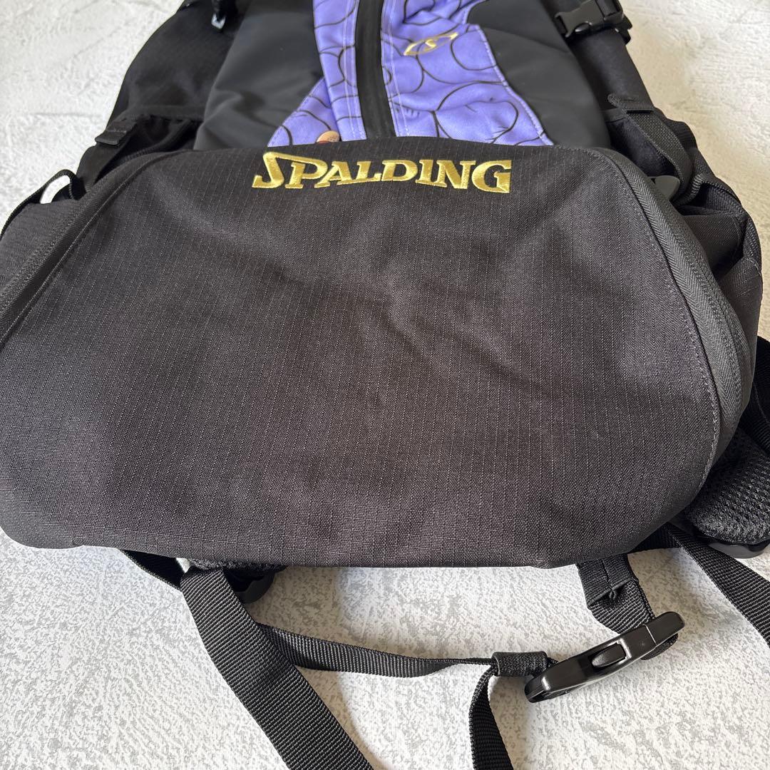 未使用タグ付き：ワンピース×SPALDING バスケットボール バックパック