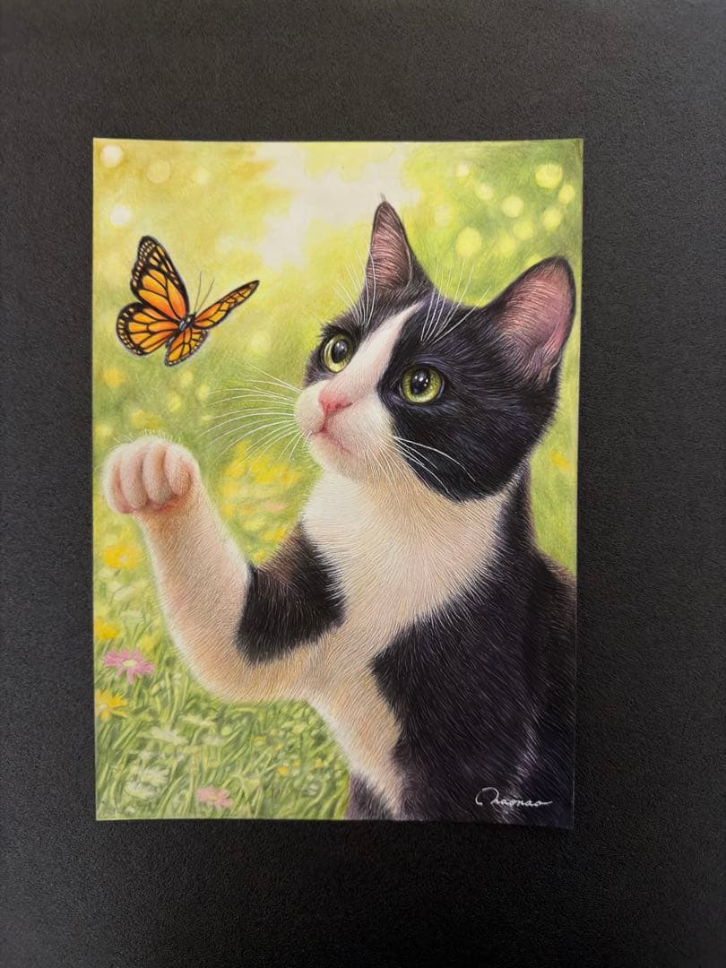 色鉛筆画 A4 春のまなざし（猫×蝶）