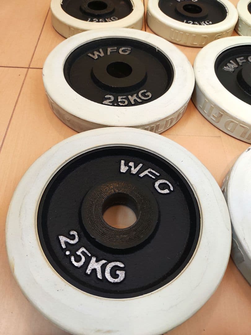 WFG ダンベルプレート 2.5kg×6枚 1.25kg×4枚　シャフト