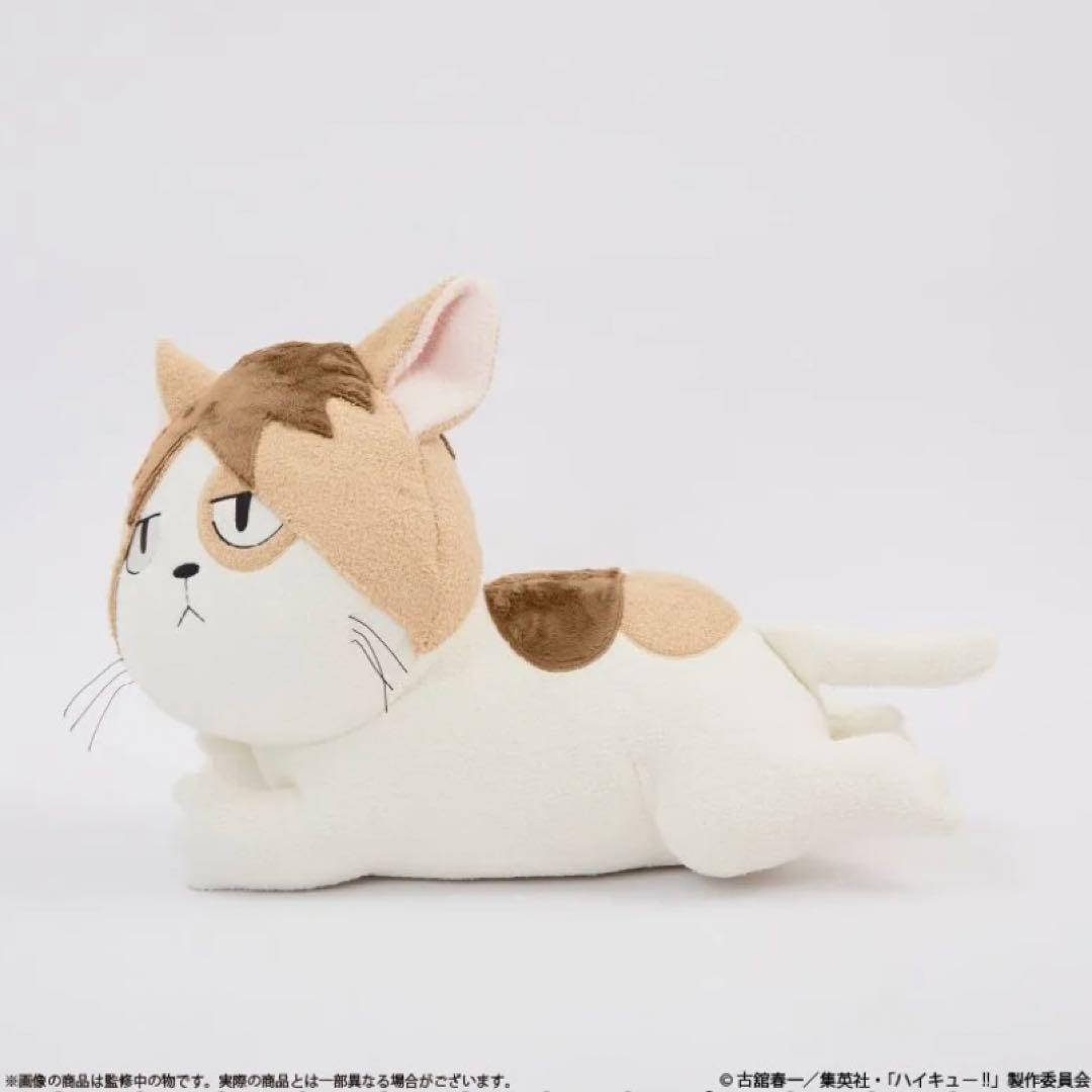 Palude ハイキュー!! 孤爪研磨　ケンマネコ　ぬいぐるみ　クッション