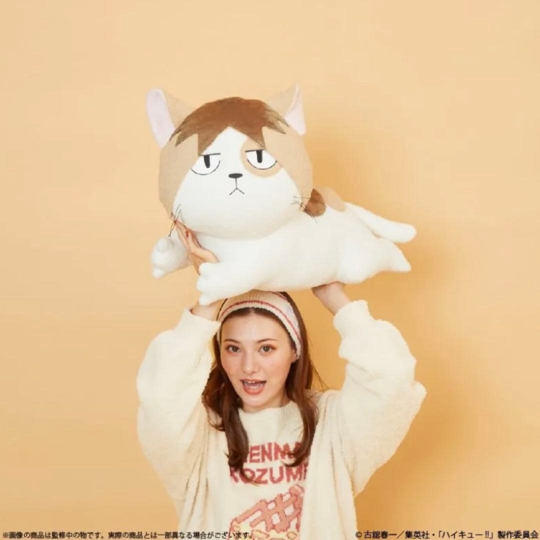 Palude ハイキュー!! 孤爪研磨　ケンマネコ　ぬいぐるみ　クッション