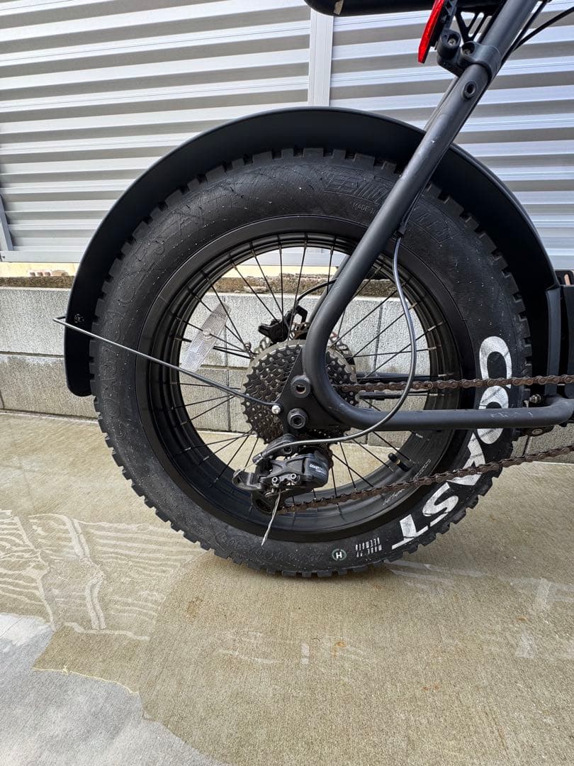 COAST CYCLES BUZZRAW PRO 電動アシスト自転車 太タイヤ