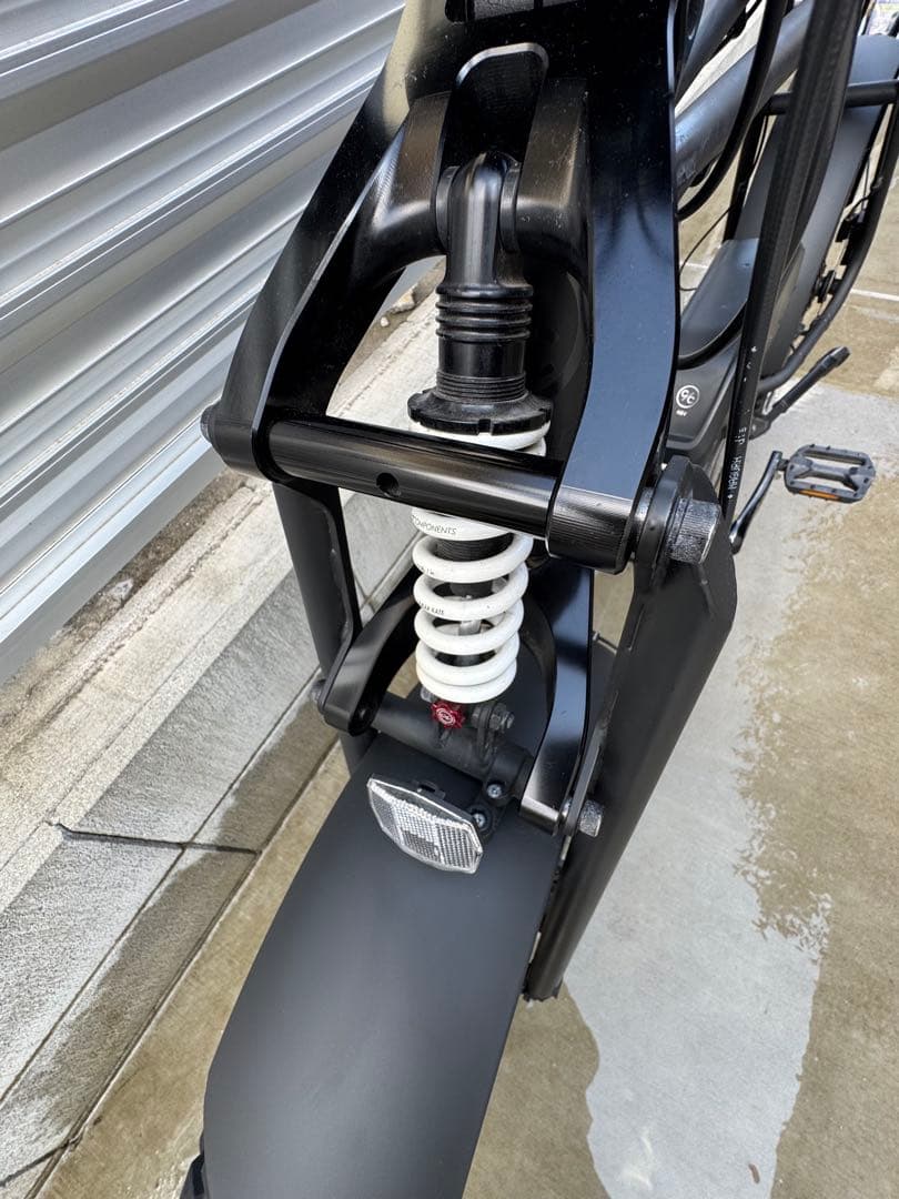 COAST CYCLES BUZZRAW PRO 電動アシスト自転車 太タイヤ