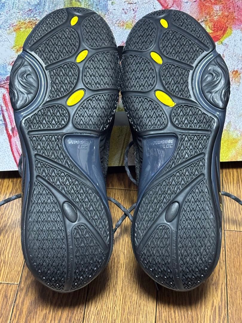 dlo1 リーニンバッシュ