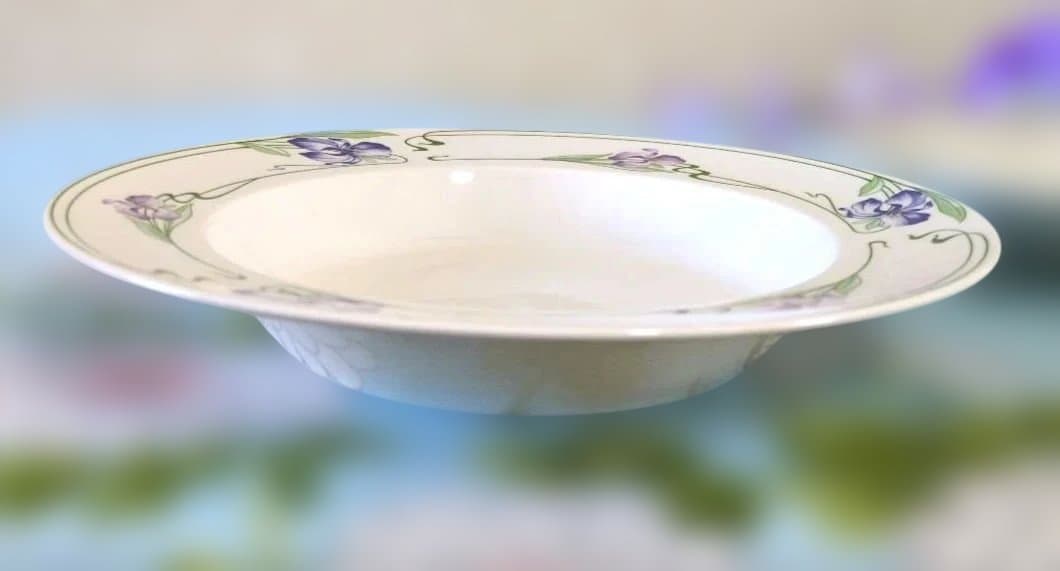 ビレロイ&ボッホ　レア品❗️Verona(ヴェローナ)　パスタ皿　未使用美品✨️