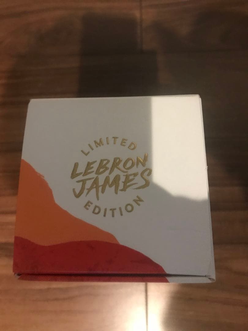 LeBron 17 シューズ・Hennessy セット