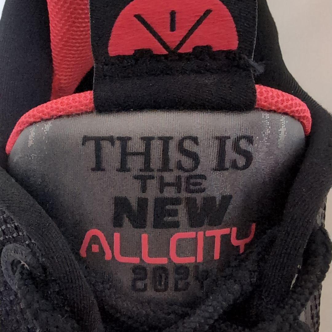 WADE バスケットボール Way of Wade All City 12 䨻