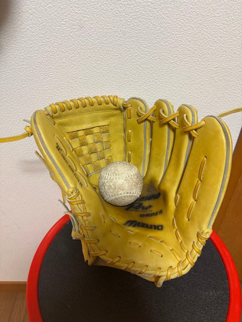 Mizuno Pro ミズノプロ　軟式用　投手