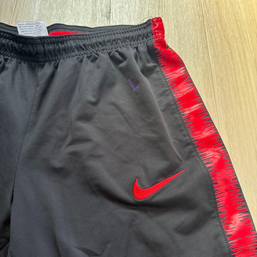 サンフレッチェ広島支給品 DRI-FIT 七分丈 L
