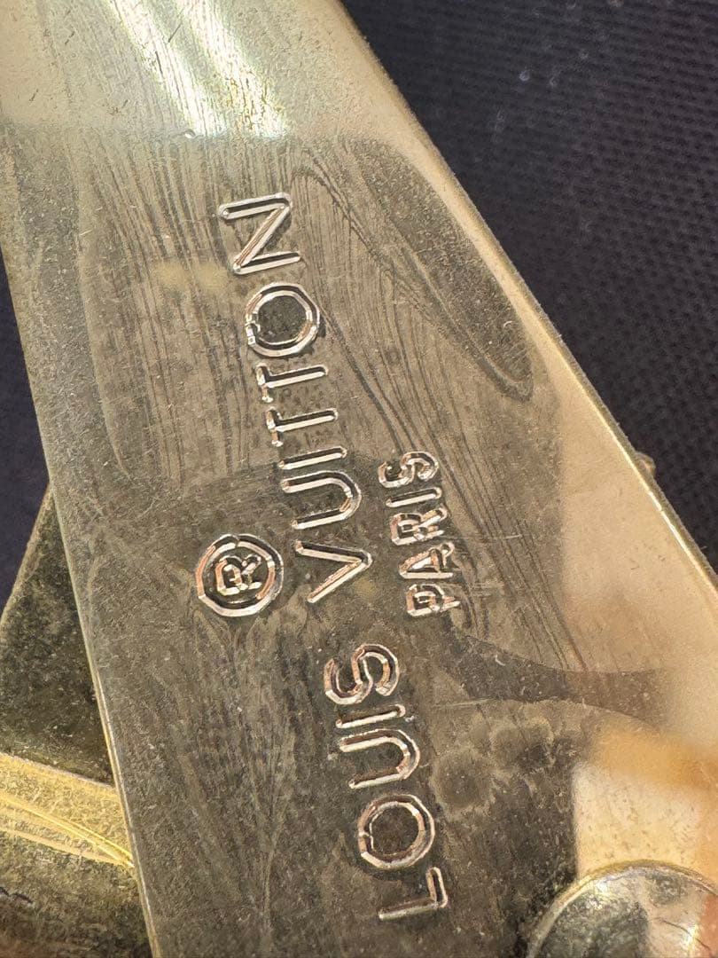 LOUIS VUITTON ブラウン衣装ケース
