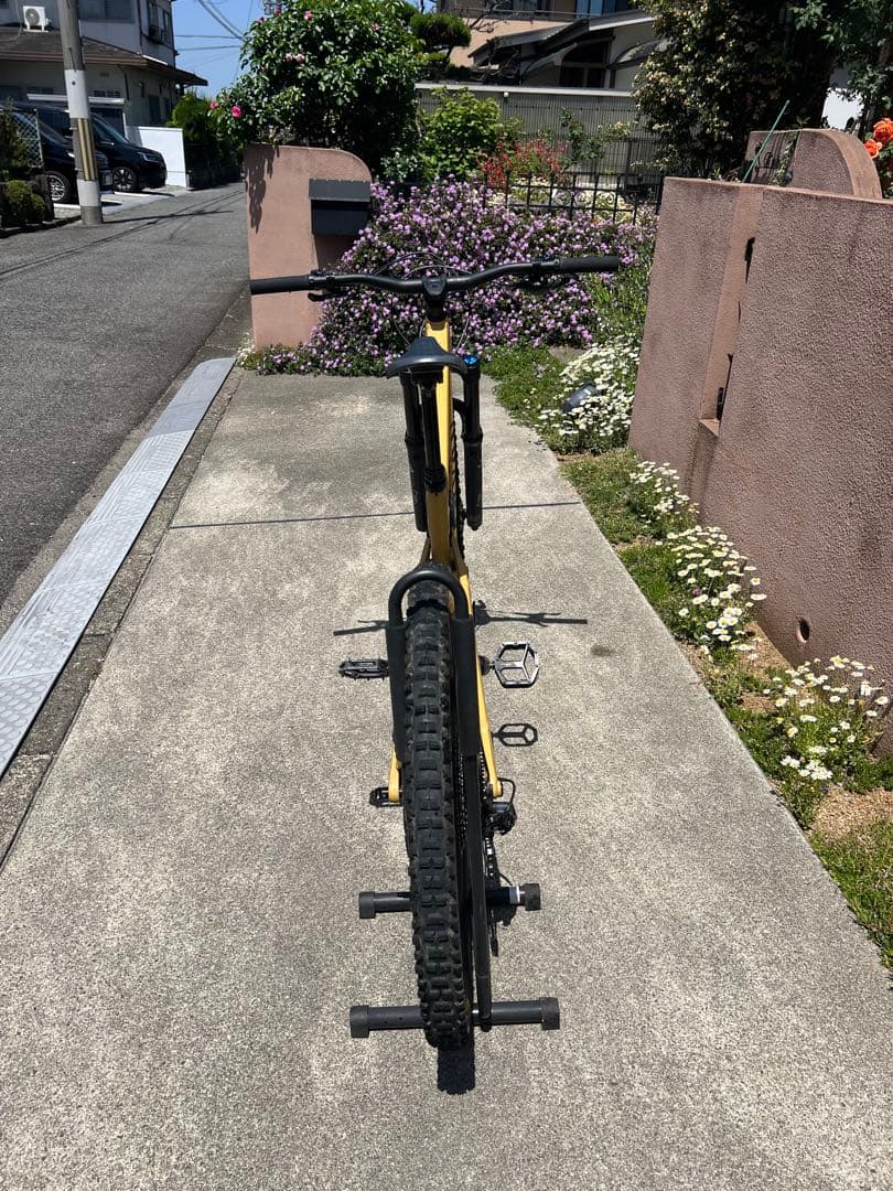 自転車本体 CANYON Torque 29 AL 6