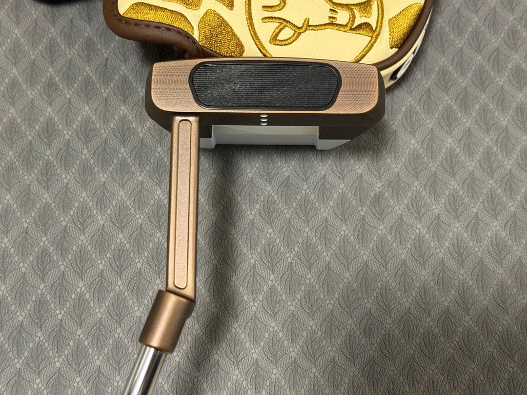 ほぼ新品Ai-ONE GIRAFFE-BEAM JAILBIRD MINI34