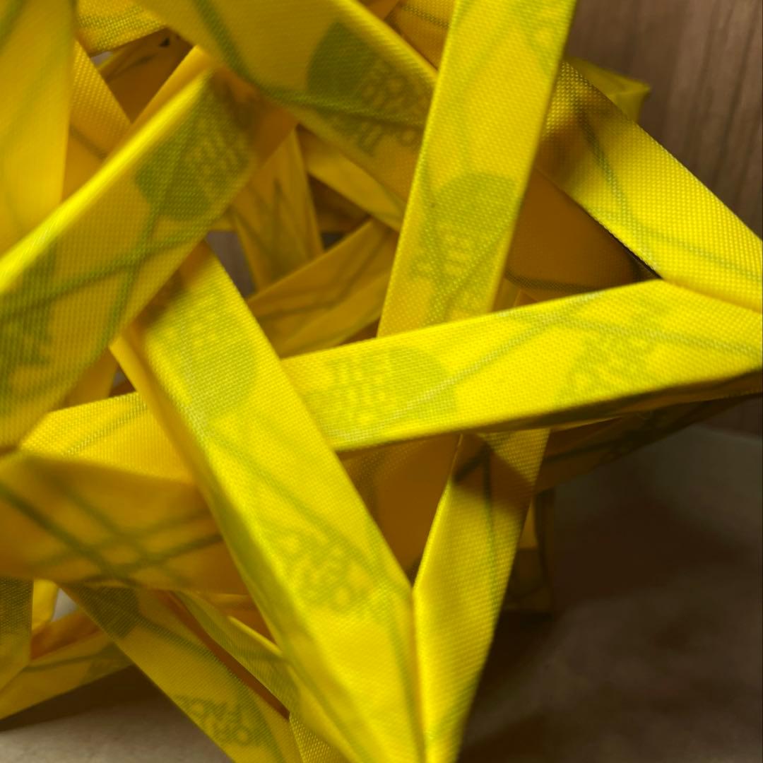 【美品・限定】COLONISTA CONPE10 ノースフェイス　yellow