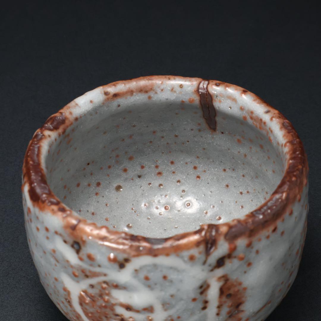 【最終価格】抹茶碗　鼠志野亀の絵　月形那比古　夏至亀　共箱　R1424お14