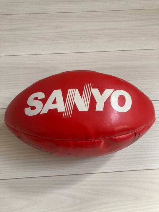 サンヨーワイルドナイツ　サインボール