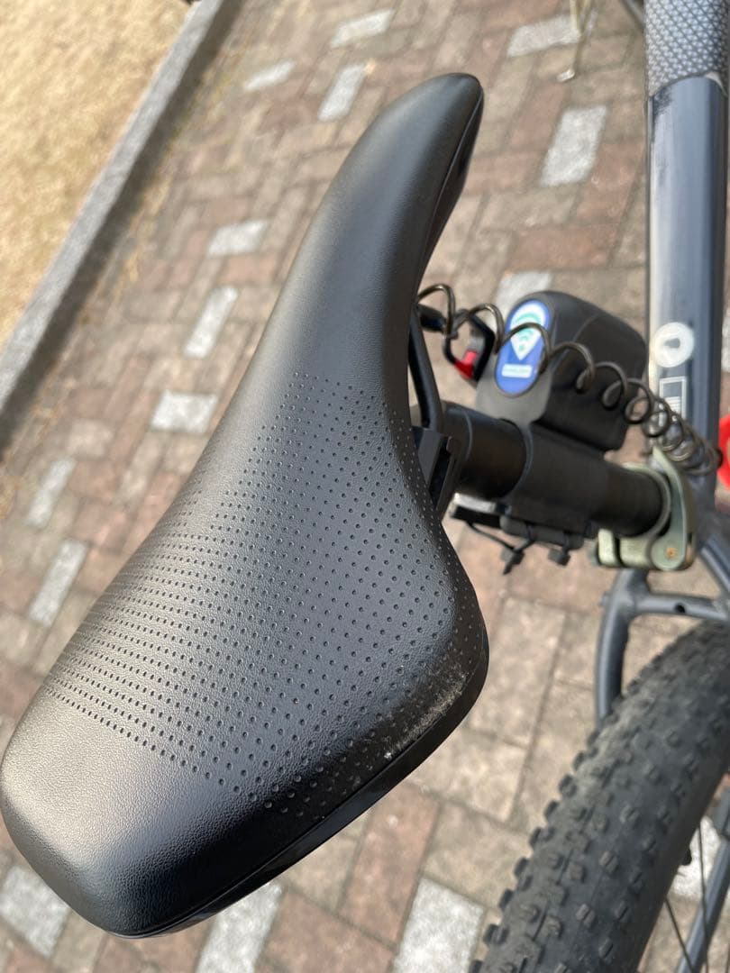 Cannondale マウンテンバイク 29 インチ