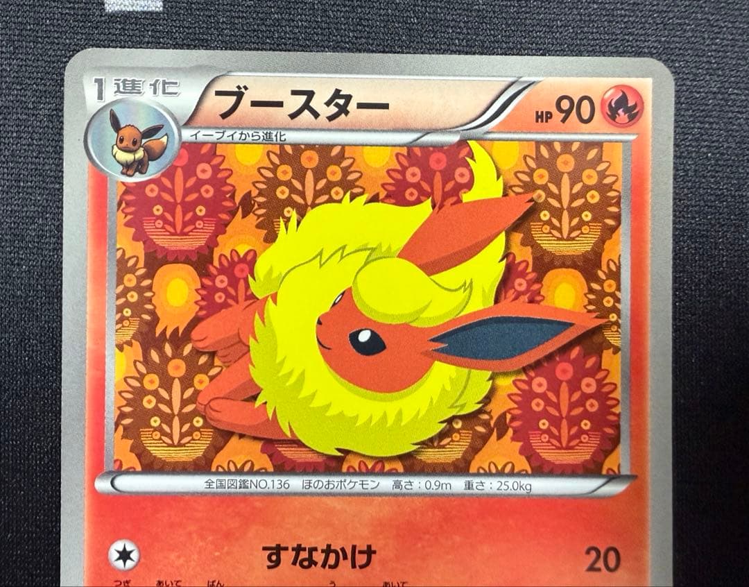 ★ポケモンカード ブースター 183/BW-P プロモ コレクションファイル★