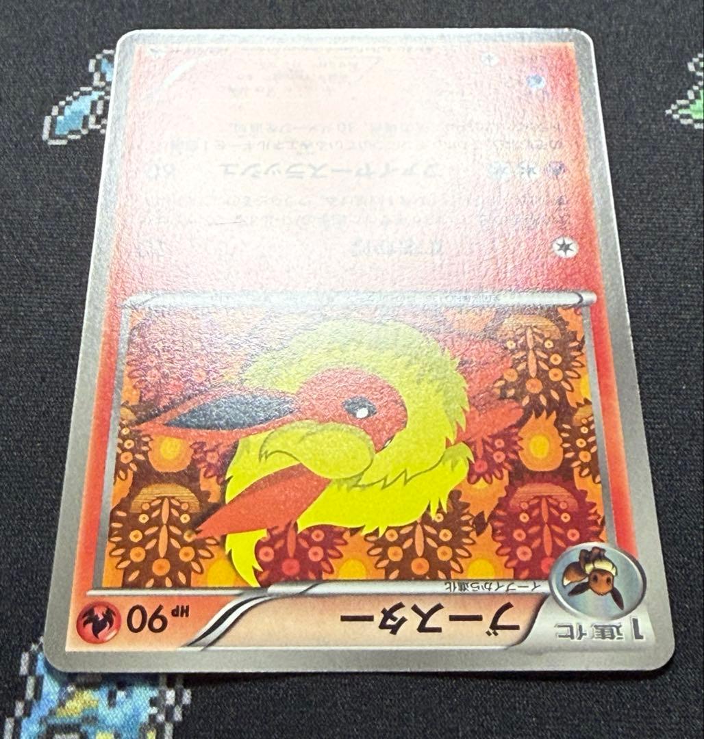 ★ポケモンカード ブースター 183/BW-P プロモ コレクションファイル★