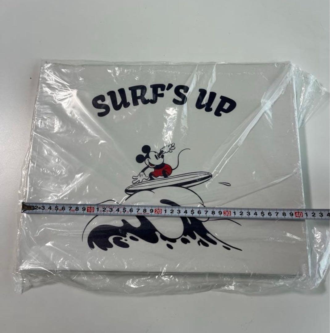 新品 サーフミッキー SURF MICKEY WALL CANVAS ART