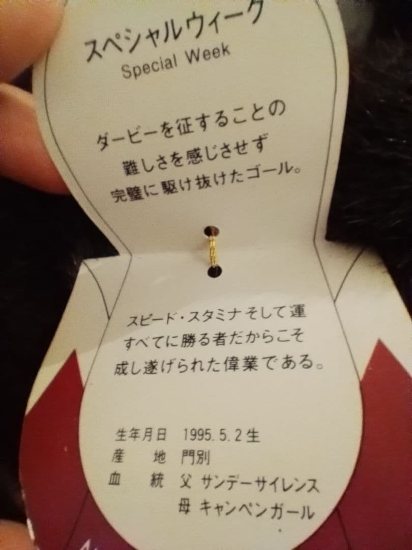 スペシャルウィーク　avanti 競馬
