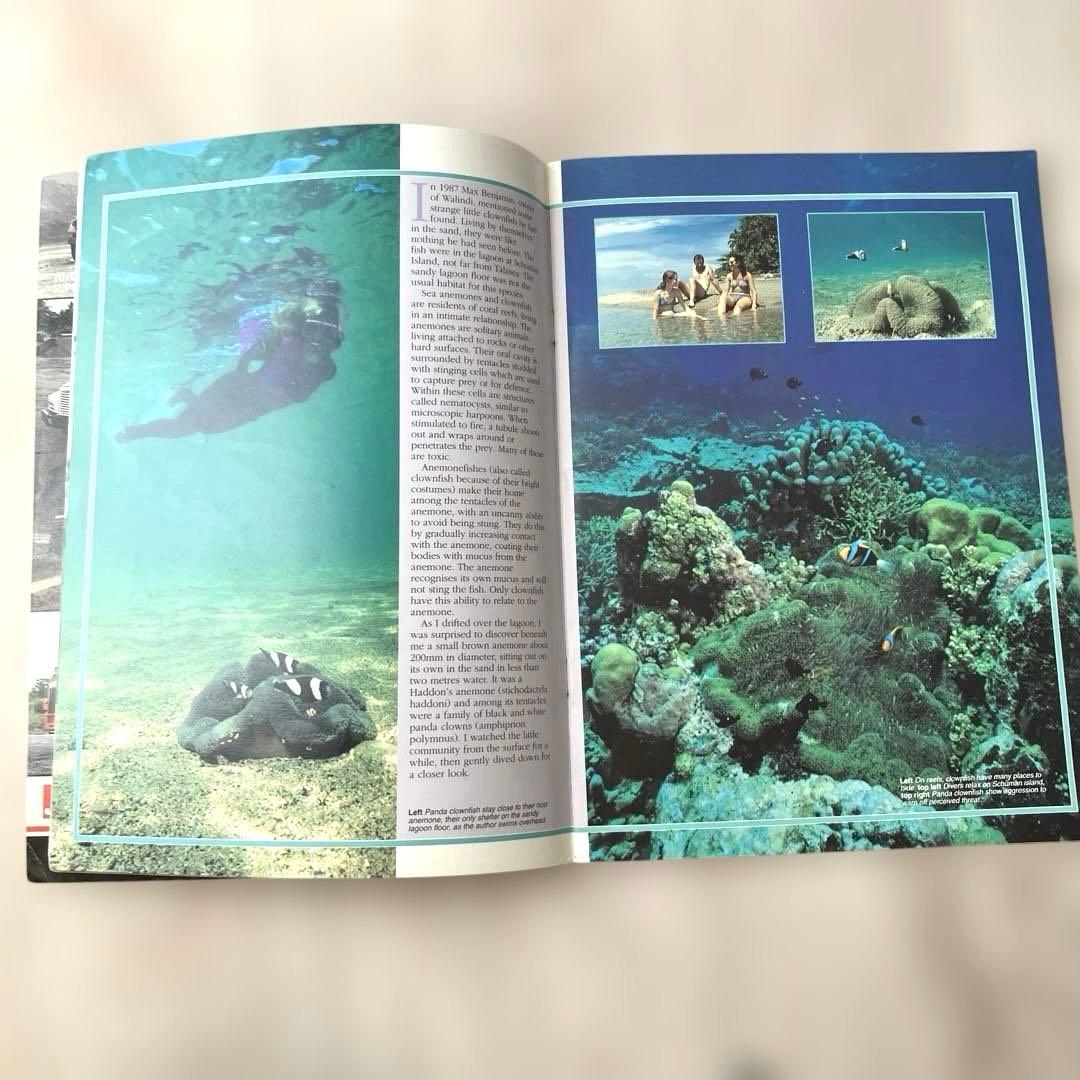 【匿名配送✨洋書】海外エアライン　機内誌　パプア・ニューギニア　レトロ　美術