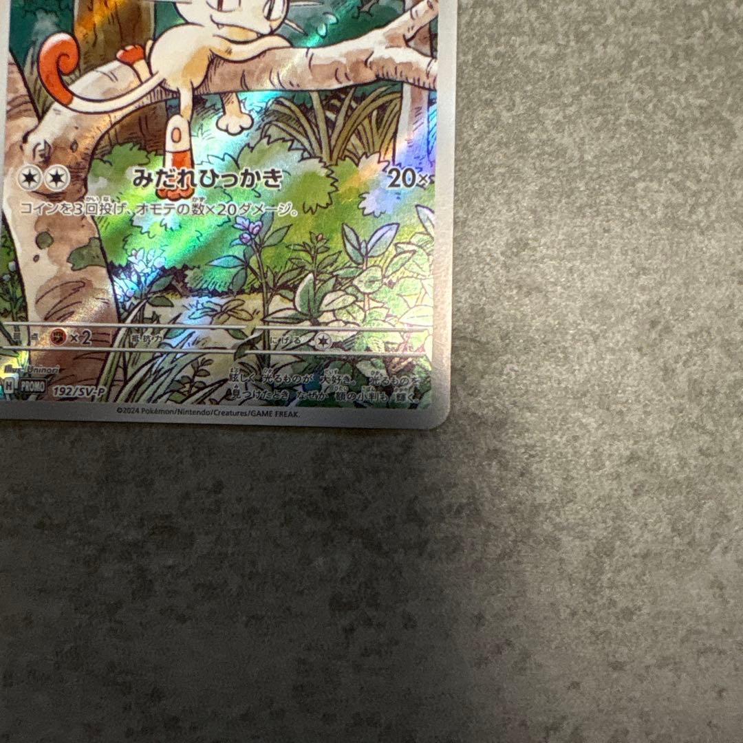 ぽうぽう(※プロフ確認お願い致します)