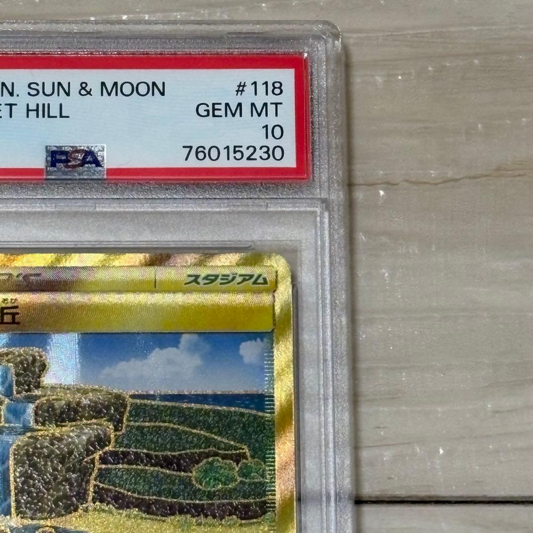 【世界に90枚】せせらぎの丘 UR PSA10 タッグボルト