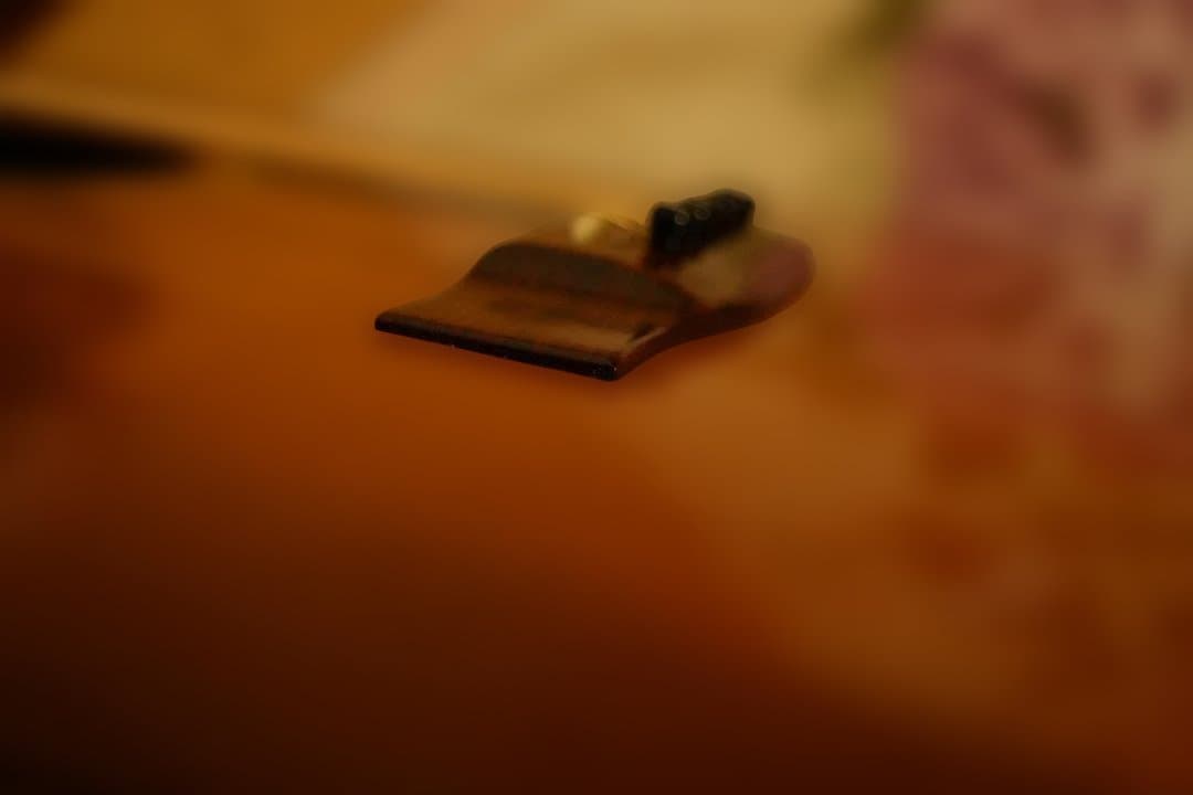 木曽鈴木バイオリン　 W-400