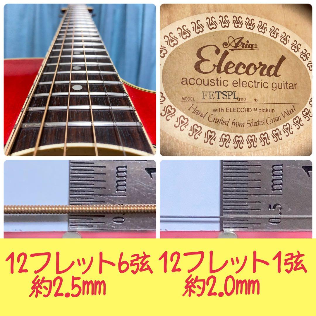 【牛骨★エレアコ】ARIA！ELECODE！エレコード【弾き易く調整☆新品の弦】
