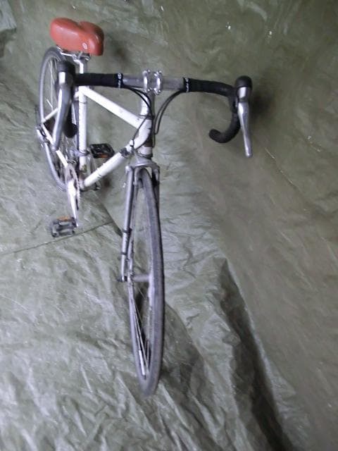 60：RALEIGH　ジャンク　引取限定：埼玉県所沢市