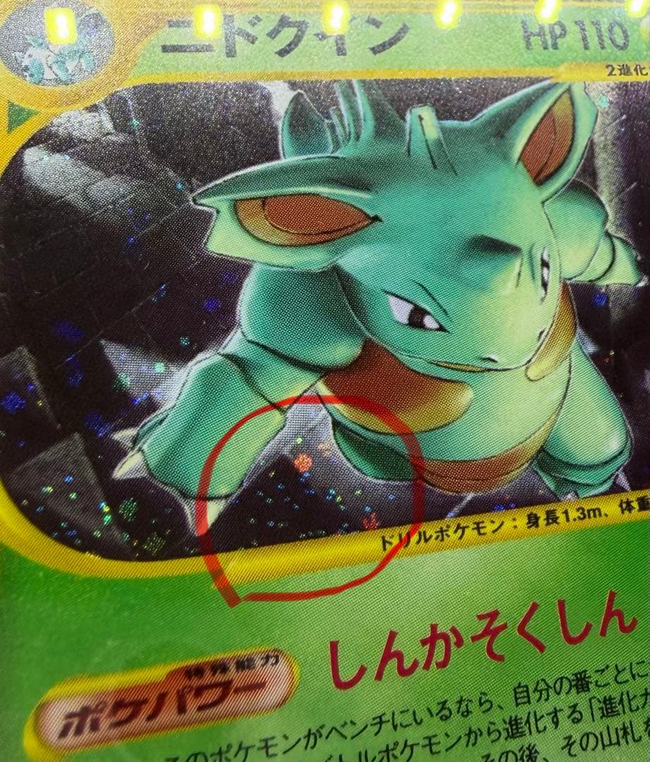 PSA10 ニドクイン カードe アンリミ ホロ