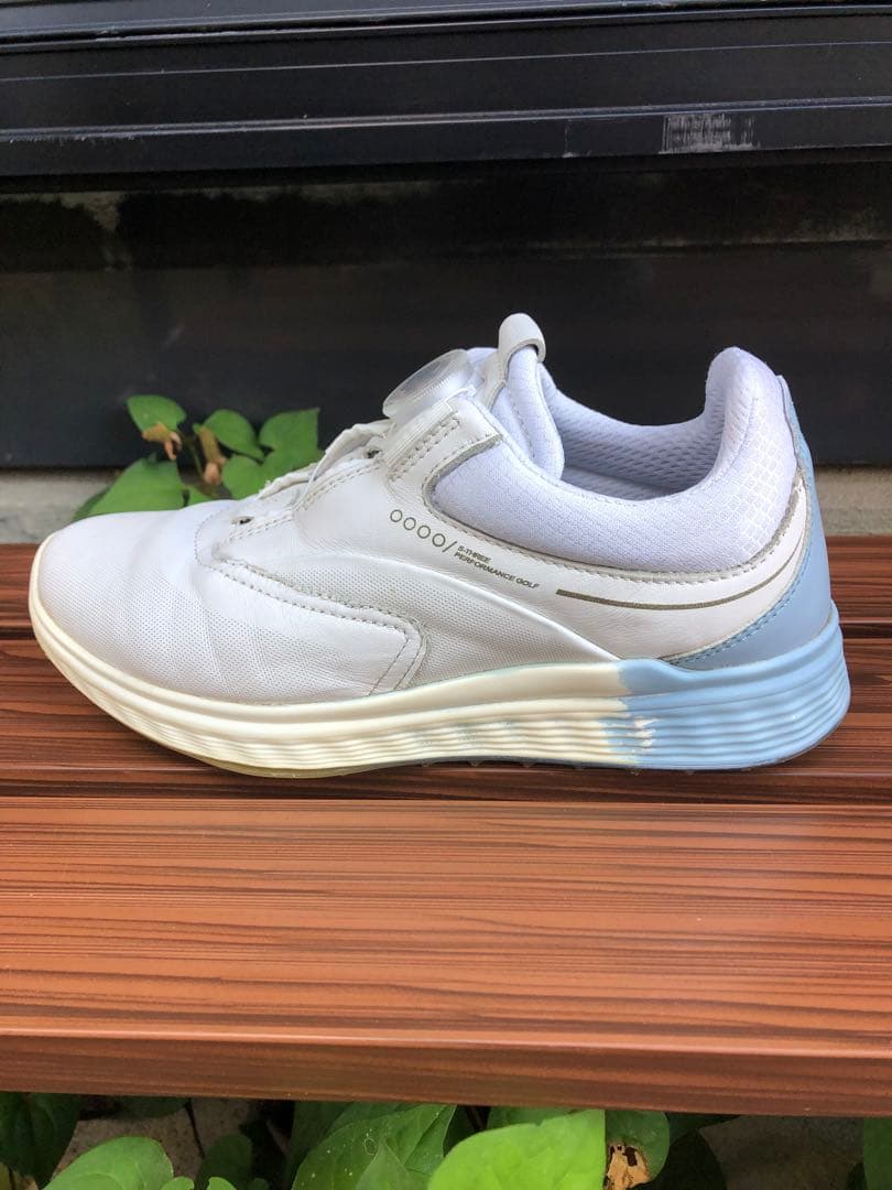 371番 美品ECCO ゴルフシューズ 38 24.0cmスパイクレス