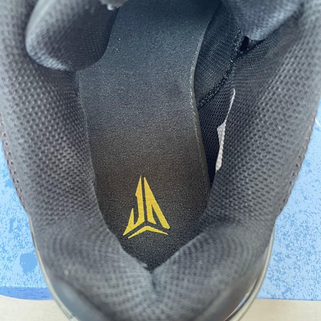 NIKE JA1 EP 27.5cm ブラック　外箱付き