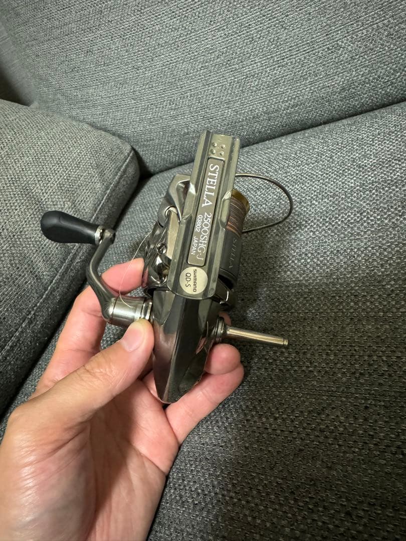18ステラ　2500shg