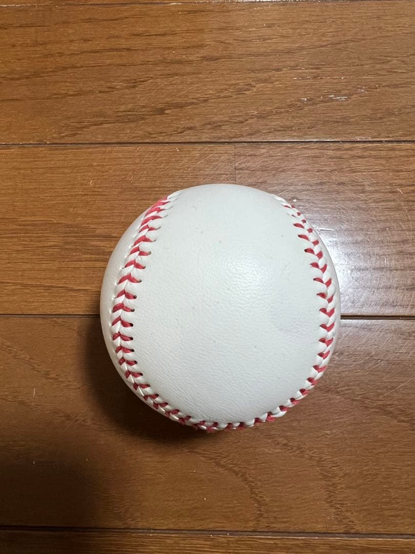 中村悠平 東京ヤクルトスワローズ 投げ込み 公式 直筆サインボール