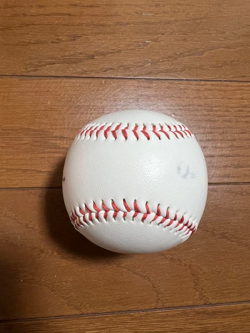 中村悠平 東京ヤクルトスワローズ 投げ込み 公式 直筆サインボール