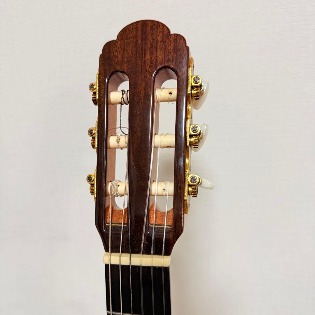 極美品　エレガット　Aria A-58CWE/M 薄胴