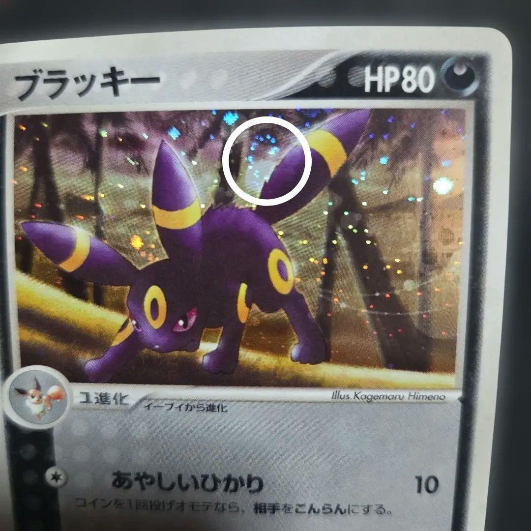 ブラッキー1EDITION1枚うずまきあり