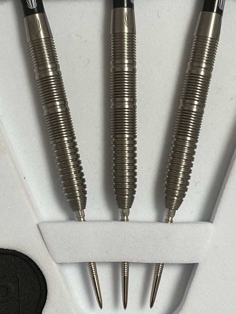 Target Kevin Doets スイスポイント HAWKEYE 23g