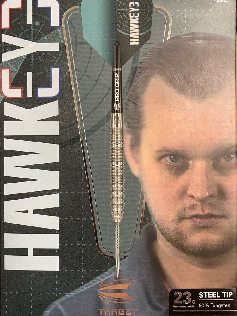 Target Kevin Doets スイスポイント HAWKEYE 23g
