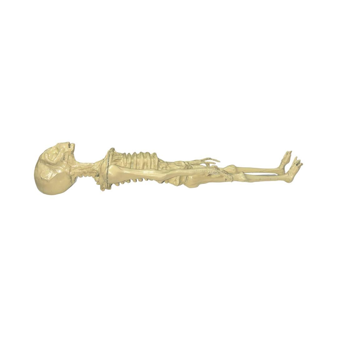 MINDINFECTION メキシコ宇宙人のミイラ フレキシブル素材 33cm