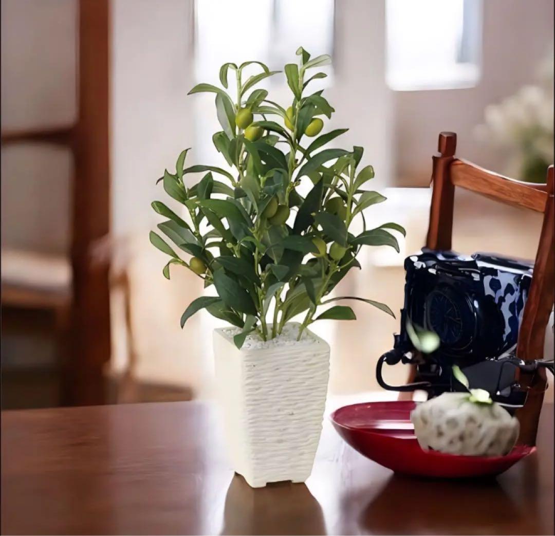 光触媒　人工観葉植物　フェイクグリーン　ライプオリーブ 40cm
