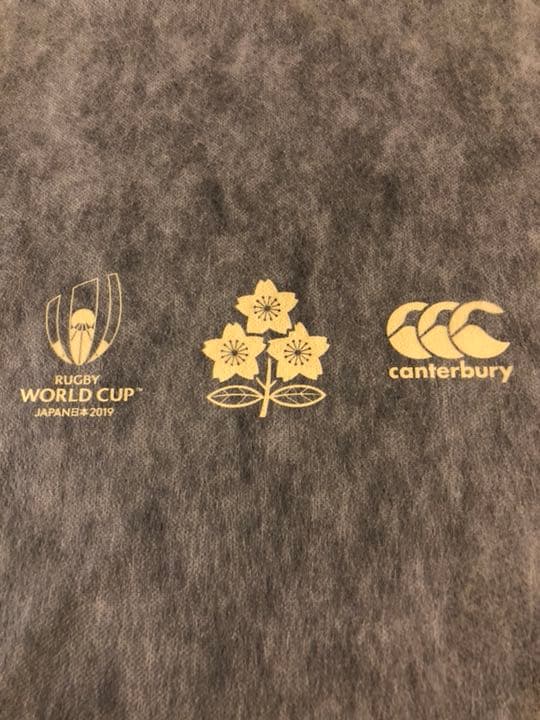 ☆限定品☆ラグビーワールドカップ日本代表公式試合用ユニフォーム Lサイズ