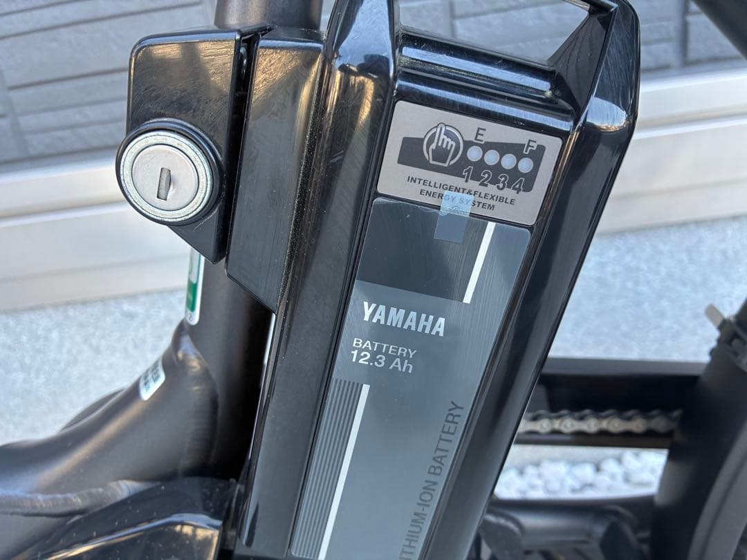 【極上美品】YAMAHA PAS Babby un
