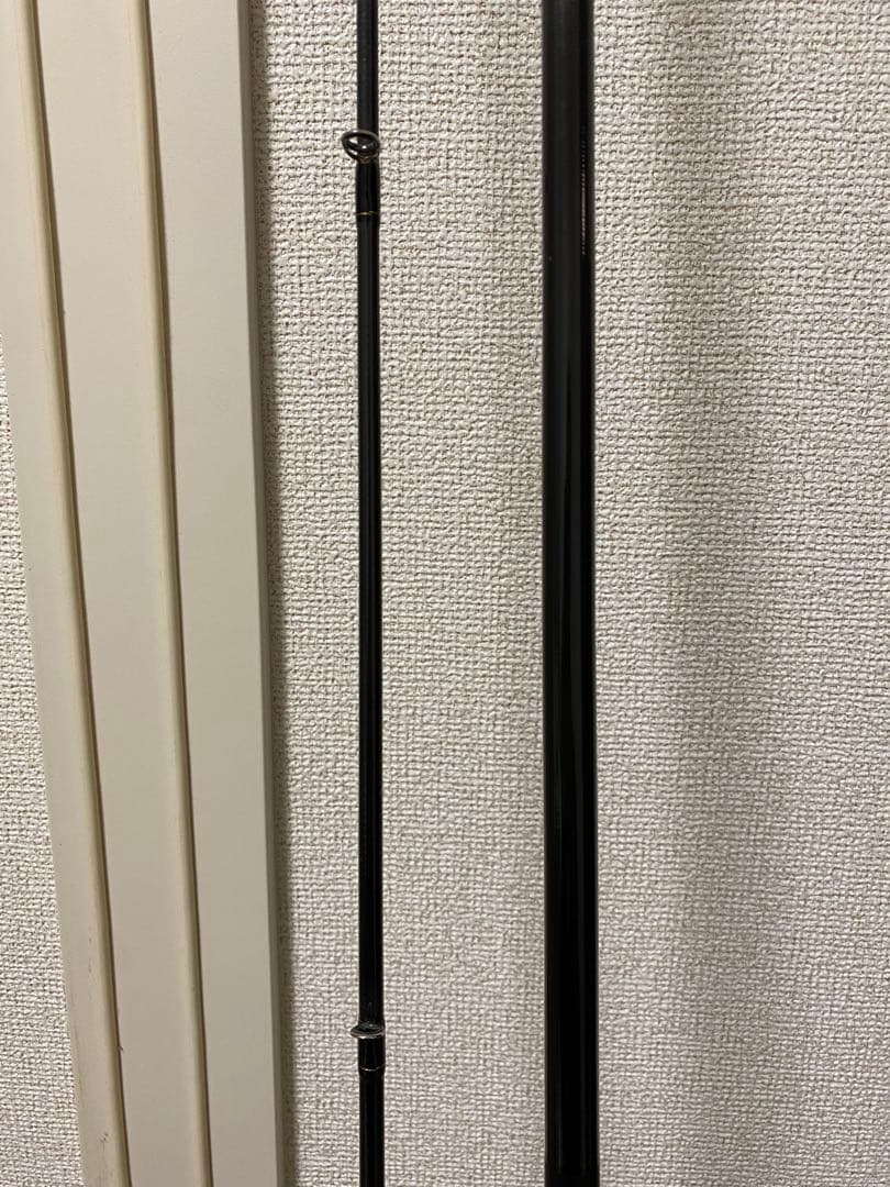 24 ラテオ 100 MH