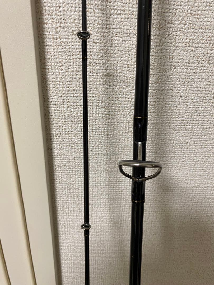 24 ラテオ 100 MH