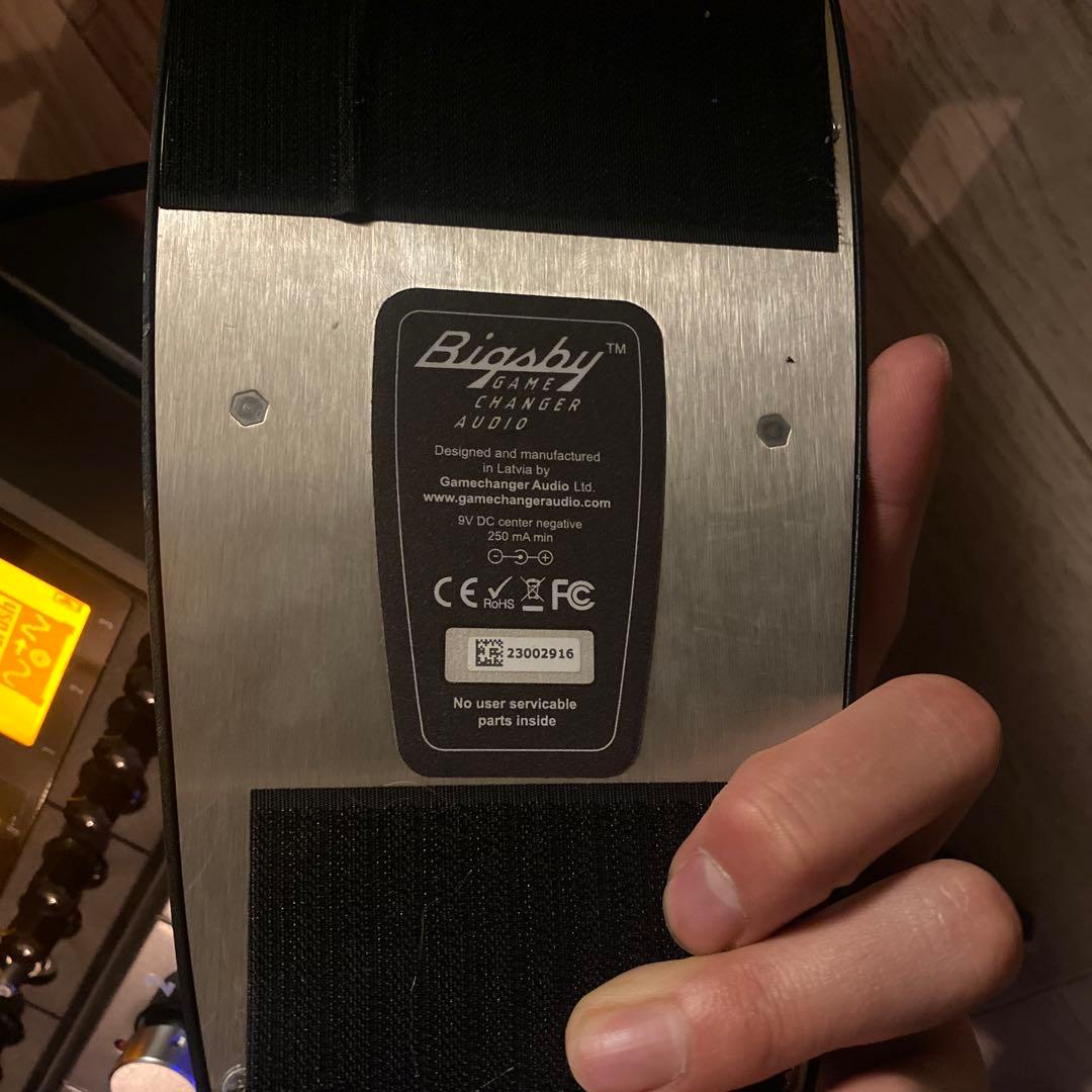 GAMECHANGER AUDIO 　Bigsby Pedal