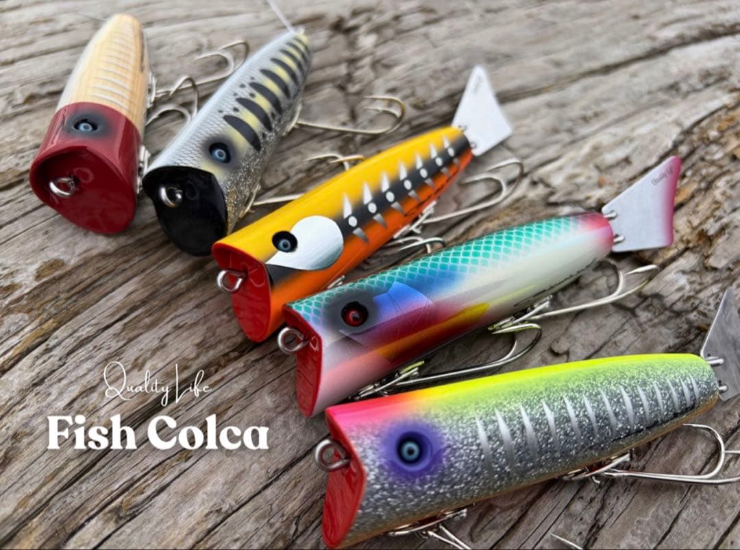 クオリティライフ　Fish Colca/フィッシュ コルカ　キタノアカヒレタビラ