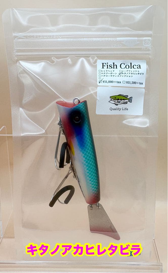 クオリティライフ　Fish Colca/フィッシュ コルカ　キタノアカヒレタビラ